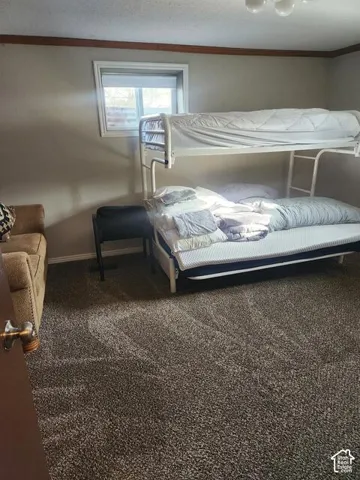 Bedroom featuring neutral wall paint, a single window, and textured carpet flooring