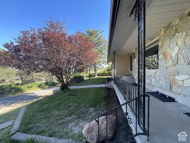 Stone veneer exterior with a concrete front porch, ornamental black metal railings, and a mature tree providing shade