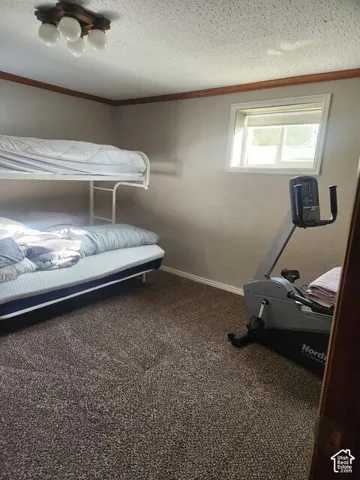 Room featuring a neutral carpet, white baseboards, and a window with white trim