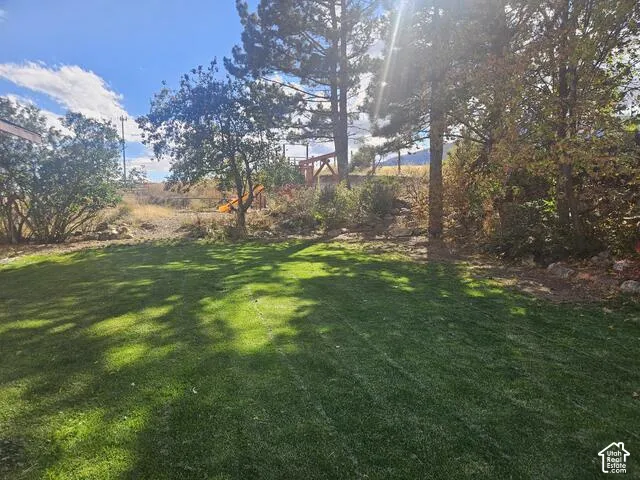Expansive green lawn with mature trees and natural landscaping