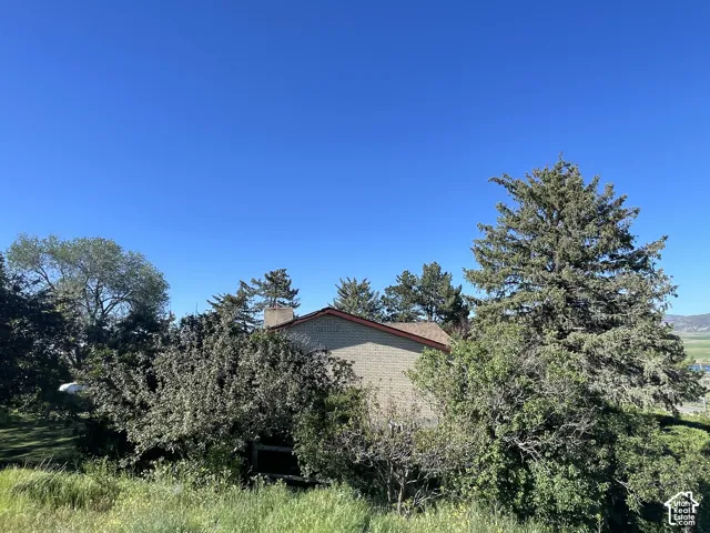 Stucco exterior with a pitched roof and visible chimney, complemented by mature evergreen and deciduous trees