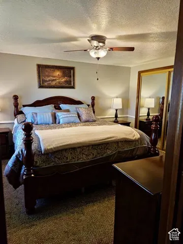 Carpeted bedroom featuring a ceiling fan with integrated lighting, mirrored closet doors with a gold-toned frame, and a dark wood-finish bed frame