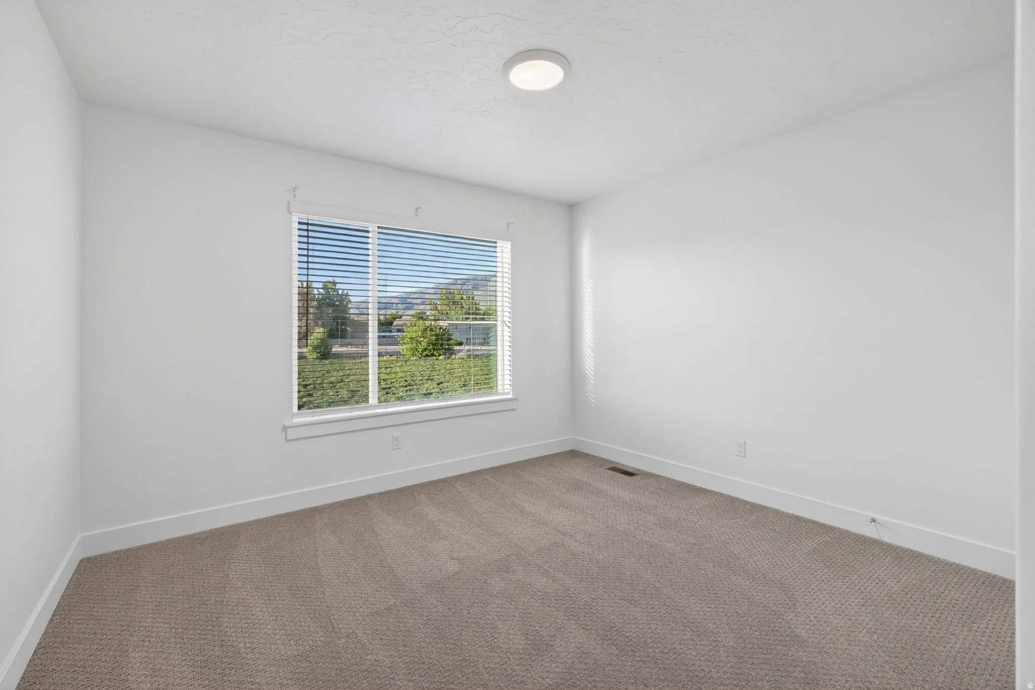 Large edroom, walk in closet, Large window with views