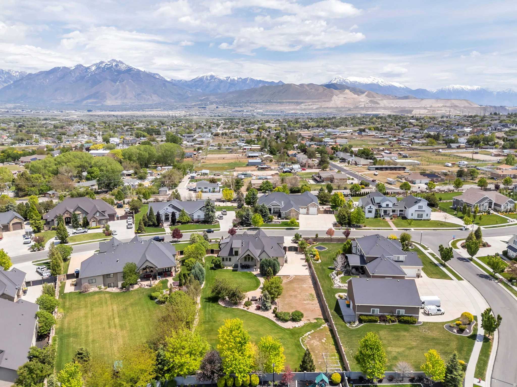 Aerial perspective showcasing a residential neighborhood with varied architectural styles and mature landscaping