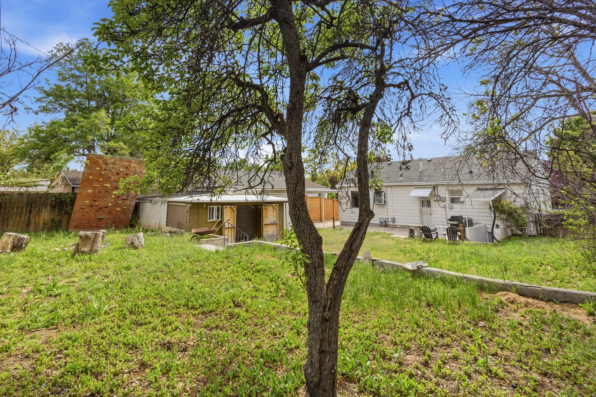 Expansive rear yard featuring green space, mature trees, and a climbing wall structure