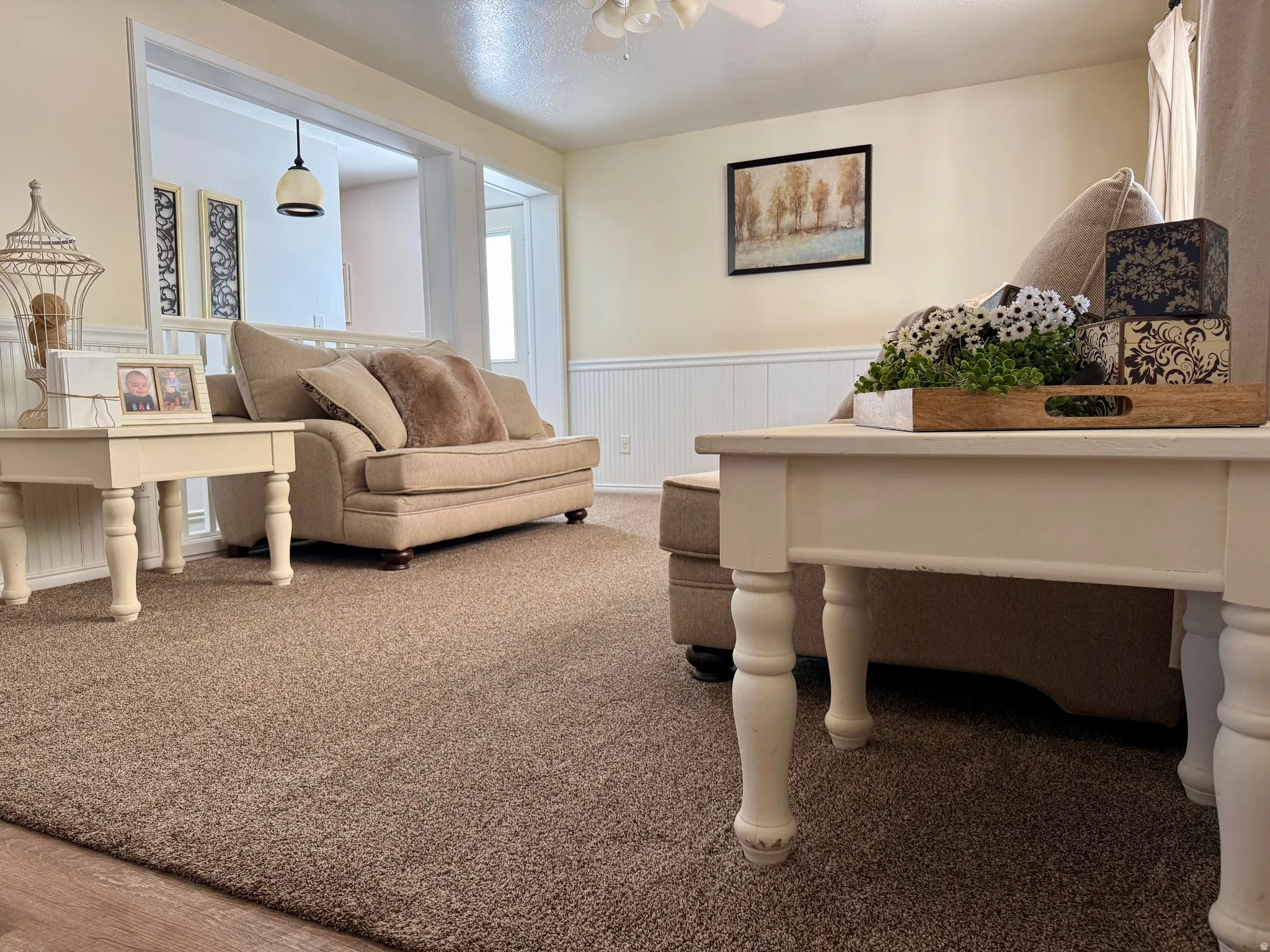 Bright living area featuring light-toned walls, wainscoting, and carpet flooring