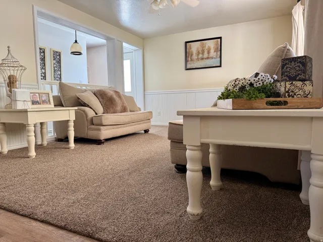 Bright living area featuring light-toned walls, wainscoting, and carpet flooring