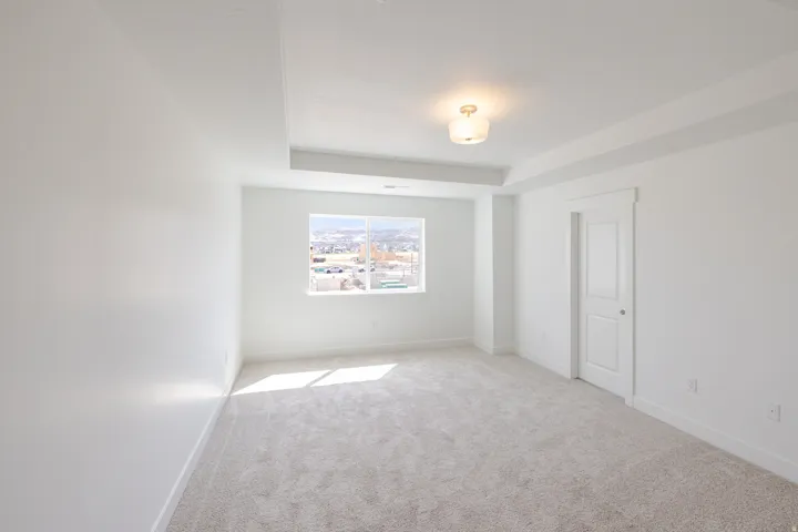 Bright room featuring a window, tray ceiling, flush mount light fixture, and carpet flooring