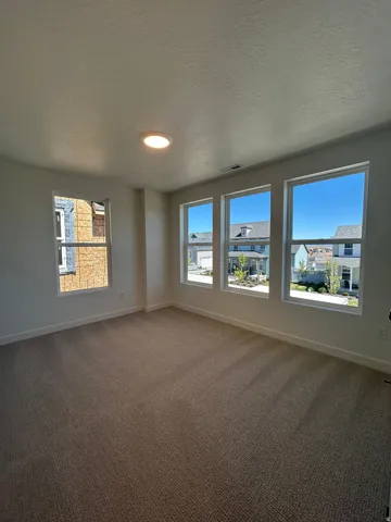 Carpeted room featuring multiple windows, a ceiling-mounted light fixture, and white baseboards