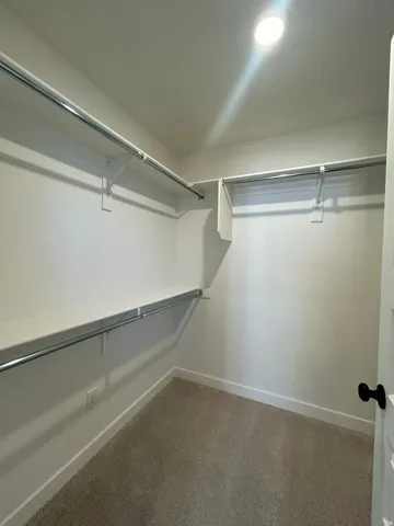 Spacious walk-in closet featuring built-in shelving, chrome hanging rods, recessed ceiling lighting, and neutral carpeting