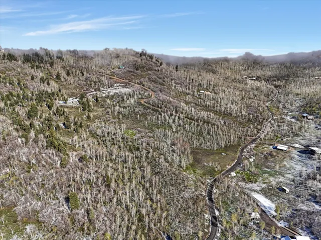 Expansive mountain landscape featuring varied tree cover and a winding paved road