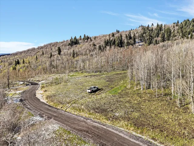 Expansive undeveloped acreage featuring a winding dirt road and diverse tree cover