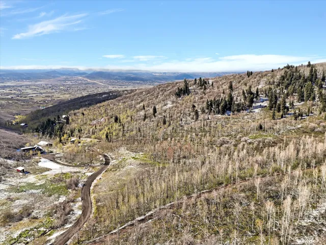 Expansive mountainous terrain featuring diverse tree coverage, including evergreen and deciduous varieties