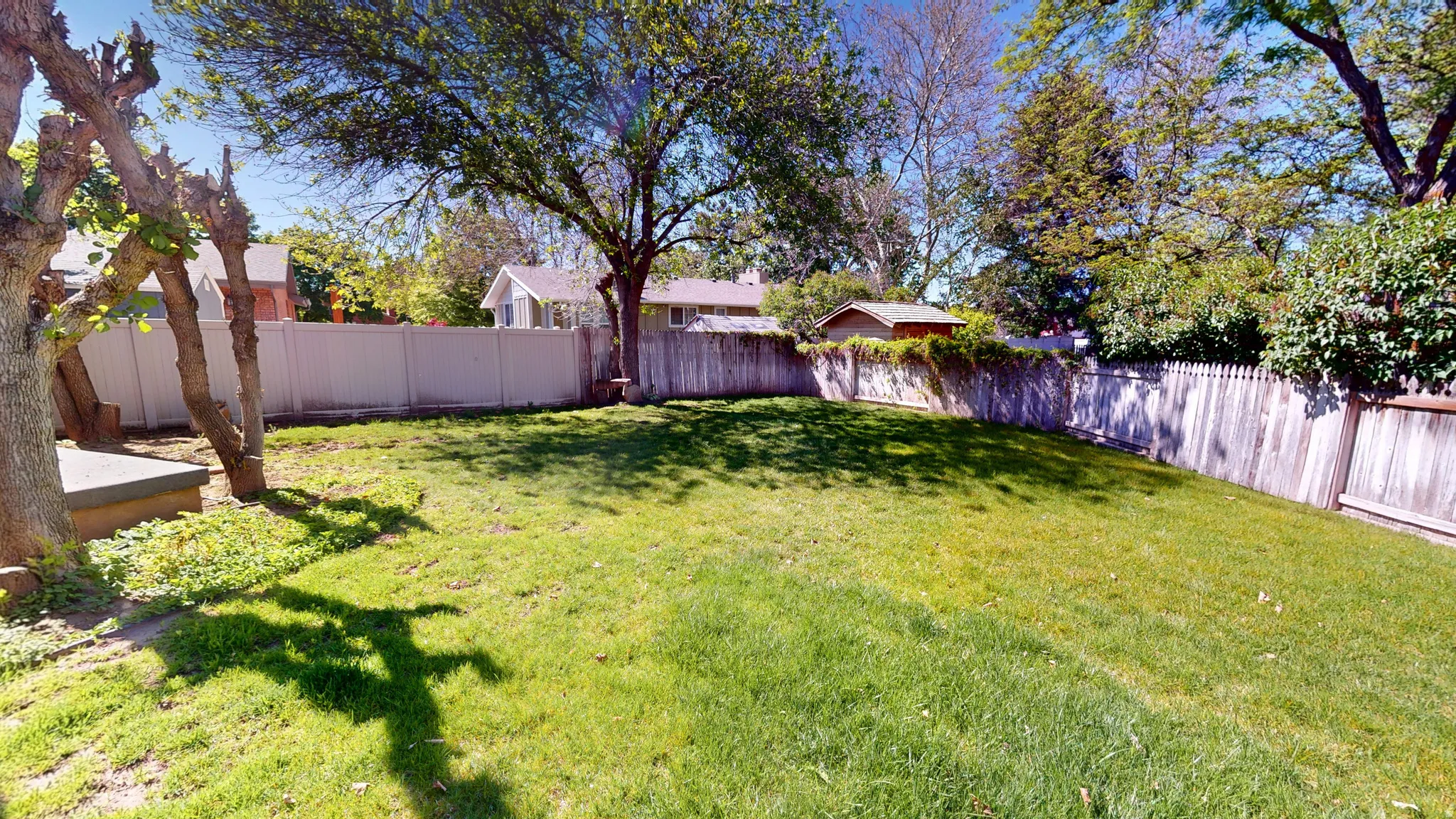 Expansive backyard featuring a manicured lawn, established trees, and a combination of wood and privacy fencing