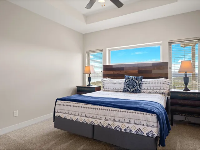 Bedroom featuring a tray ceiling, recessed window, and two vertical windows with blinds