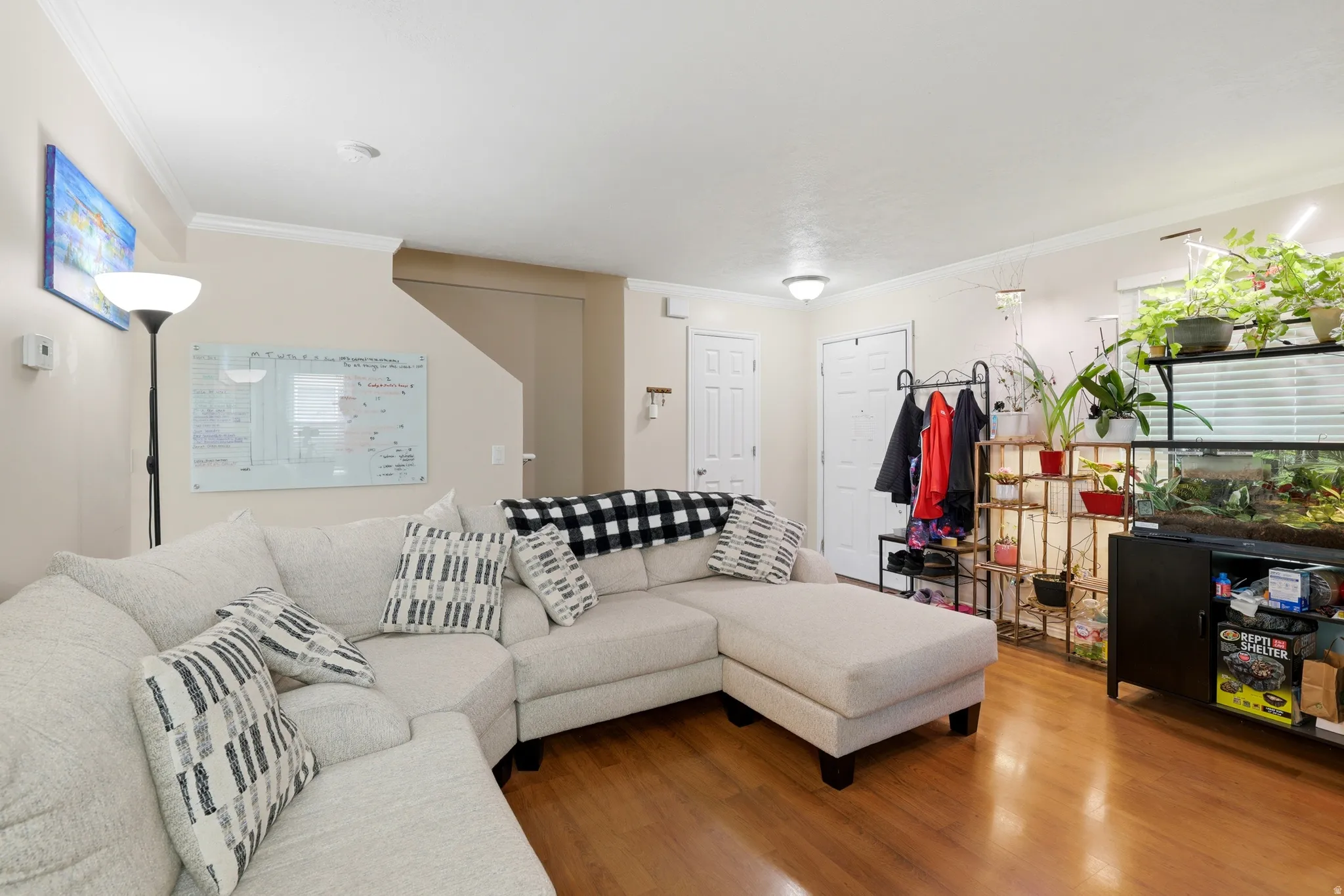 Spacious living area featuring wood-finish flooring, light-colored walls, and white crown molding