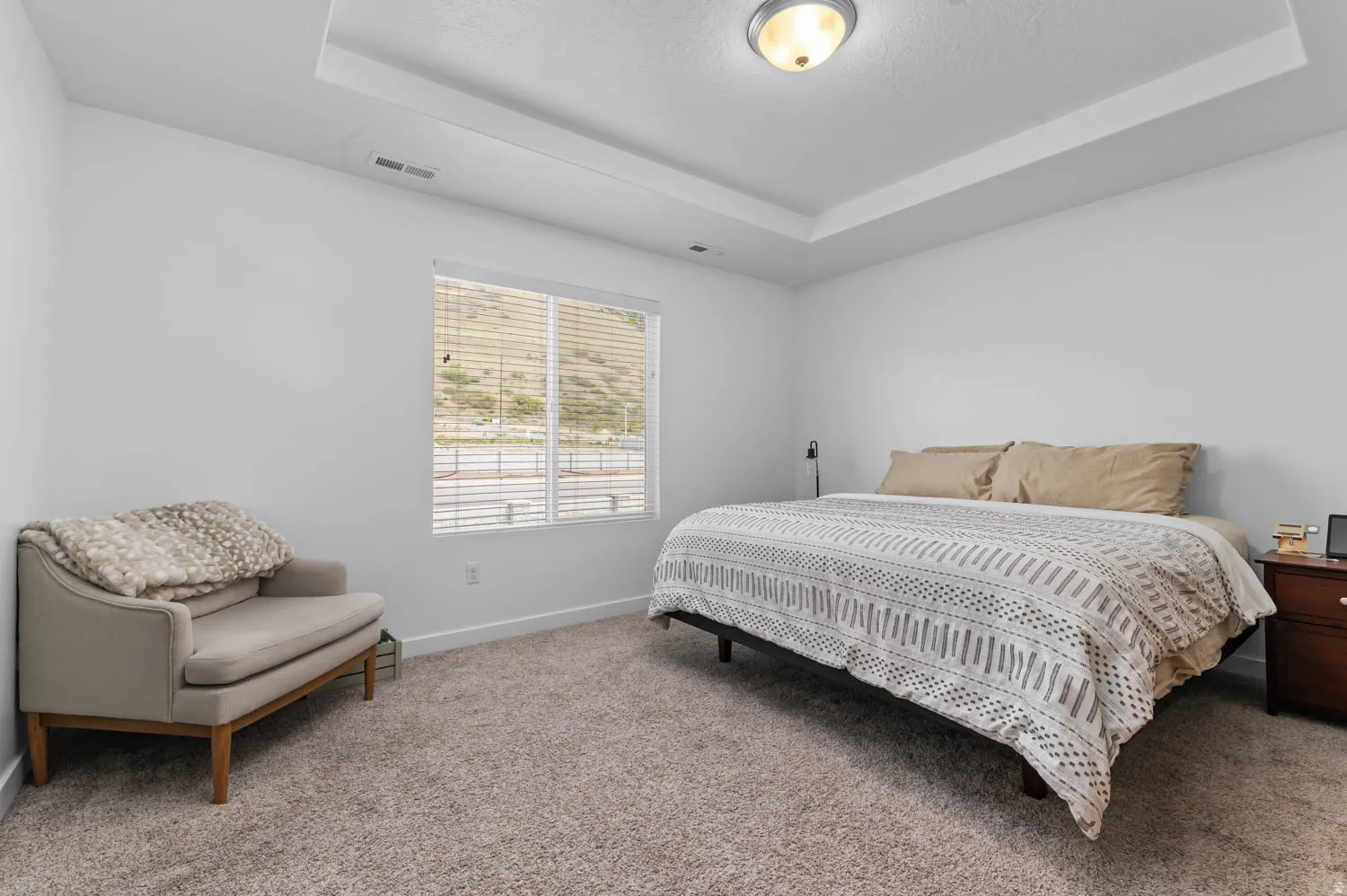 Spacious room featuring a tray ceiling with a flush-mount light fixture, a large window with horizontal blinds, and plush carpet flooring