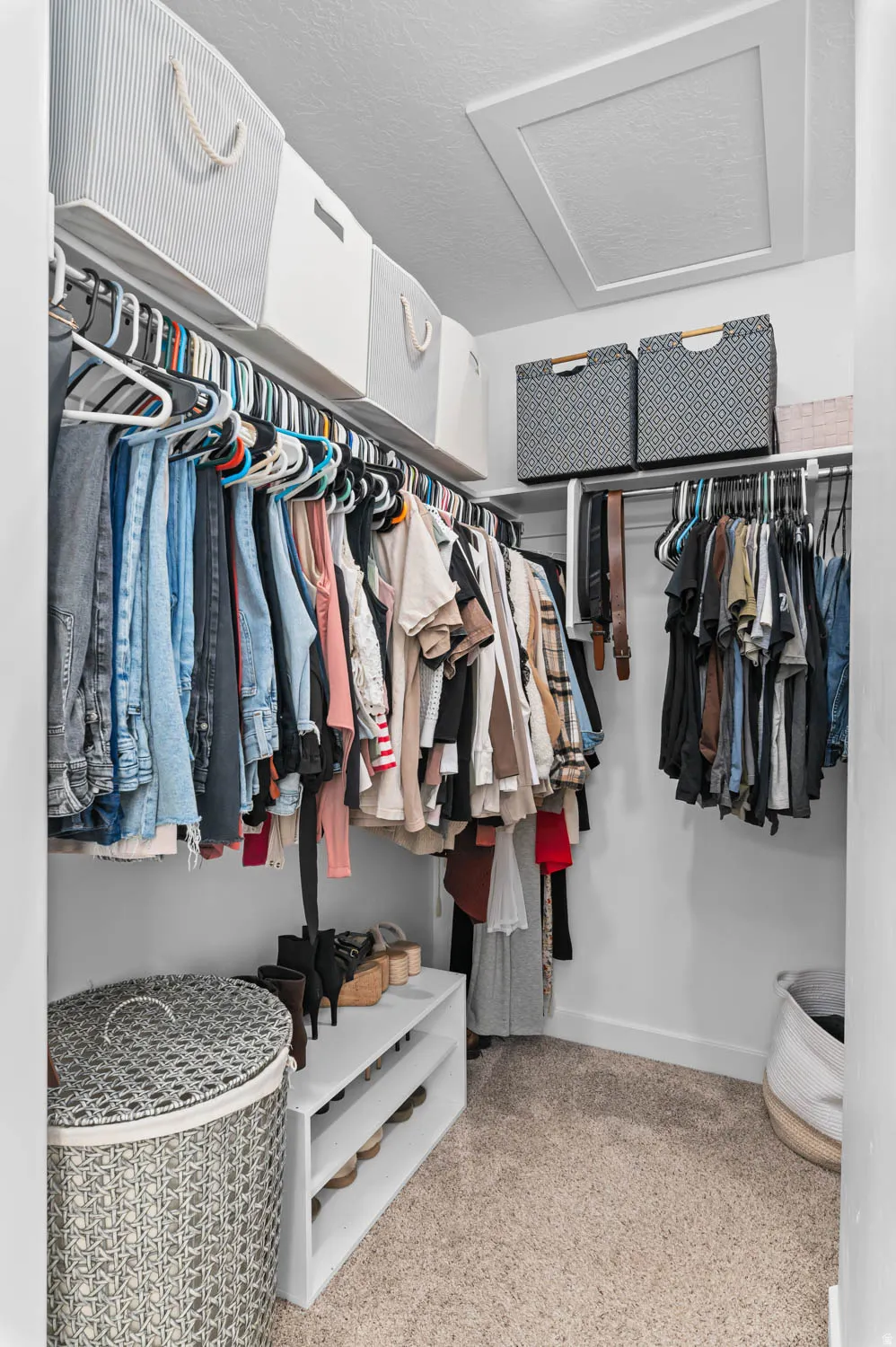 Walk-in closet featuring extensive hanging storage, overhead shelving, and carpet flooring