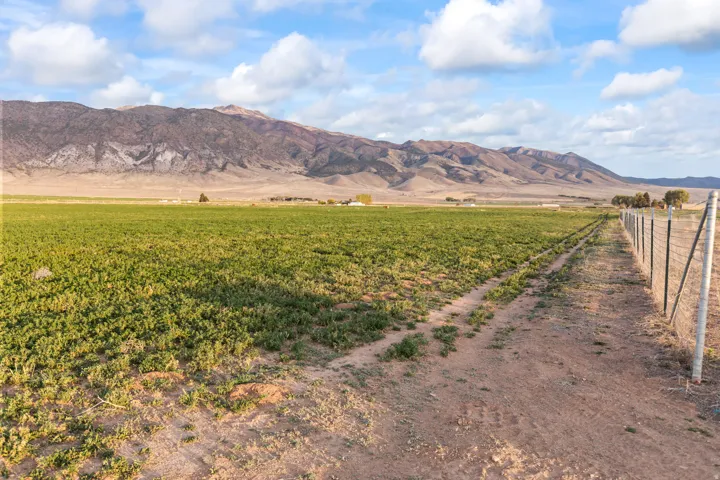 Expansive land parcel featuring a lush green field, a boundary fence, and a dirt path