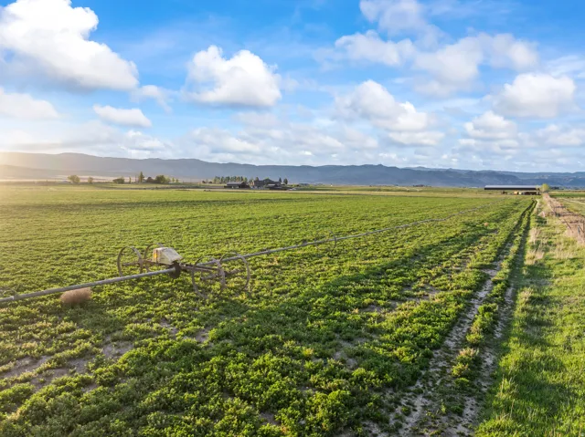 Expansive agricultural fields with distant mountains and clear skies