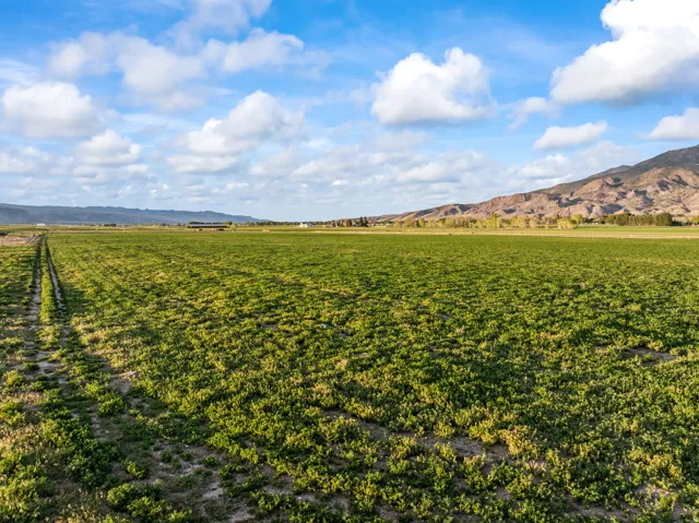 Expansive open field with green ground cover and a distant mountain range