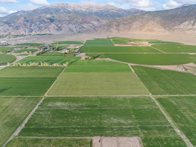 Expansive agricultural fields with varied green crops, featuring distinct rectangular and circular planting patterns