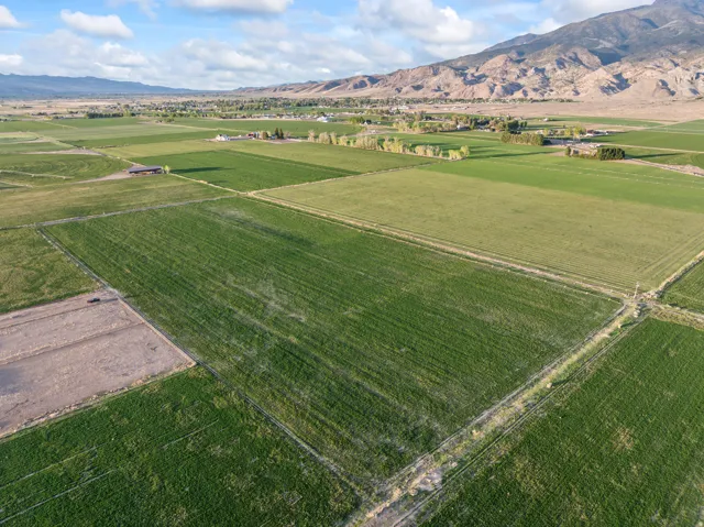 Expansive agricultural land featuring multiple cultivated fields, mature green crops, and clear boundary lines