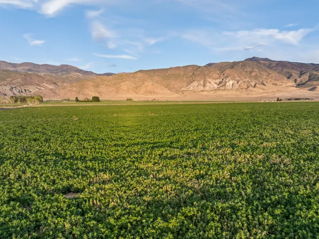 Expansive agricultural field with verdant crops under a clear sky, featuring distant mountain ranges and a flat terrain