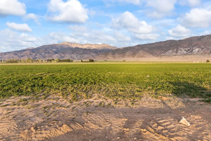 Expansive agricultural landscape featuring green crops