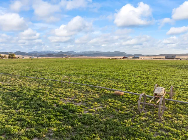 Expansive agricultural field with a center pivot irrigation system