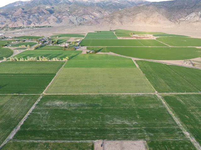 Expansive agricultural land featuring a variety of cultivated fields, distinct rectangular plots, and a mountainous backdrop