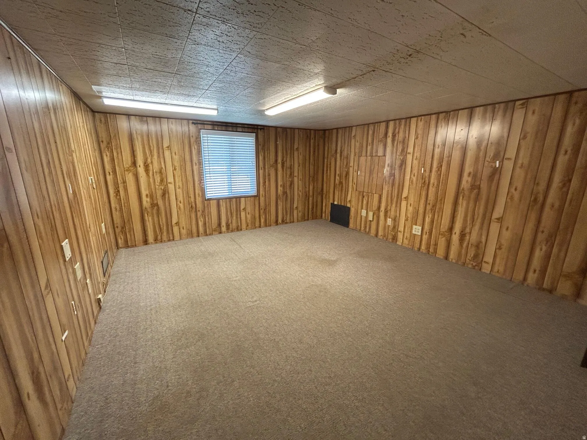 Room featuring wood paneling, neutral-toned carpet flooring, a single window with blinds, and ceiling-mounted fluorescent lighting fixtures