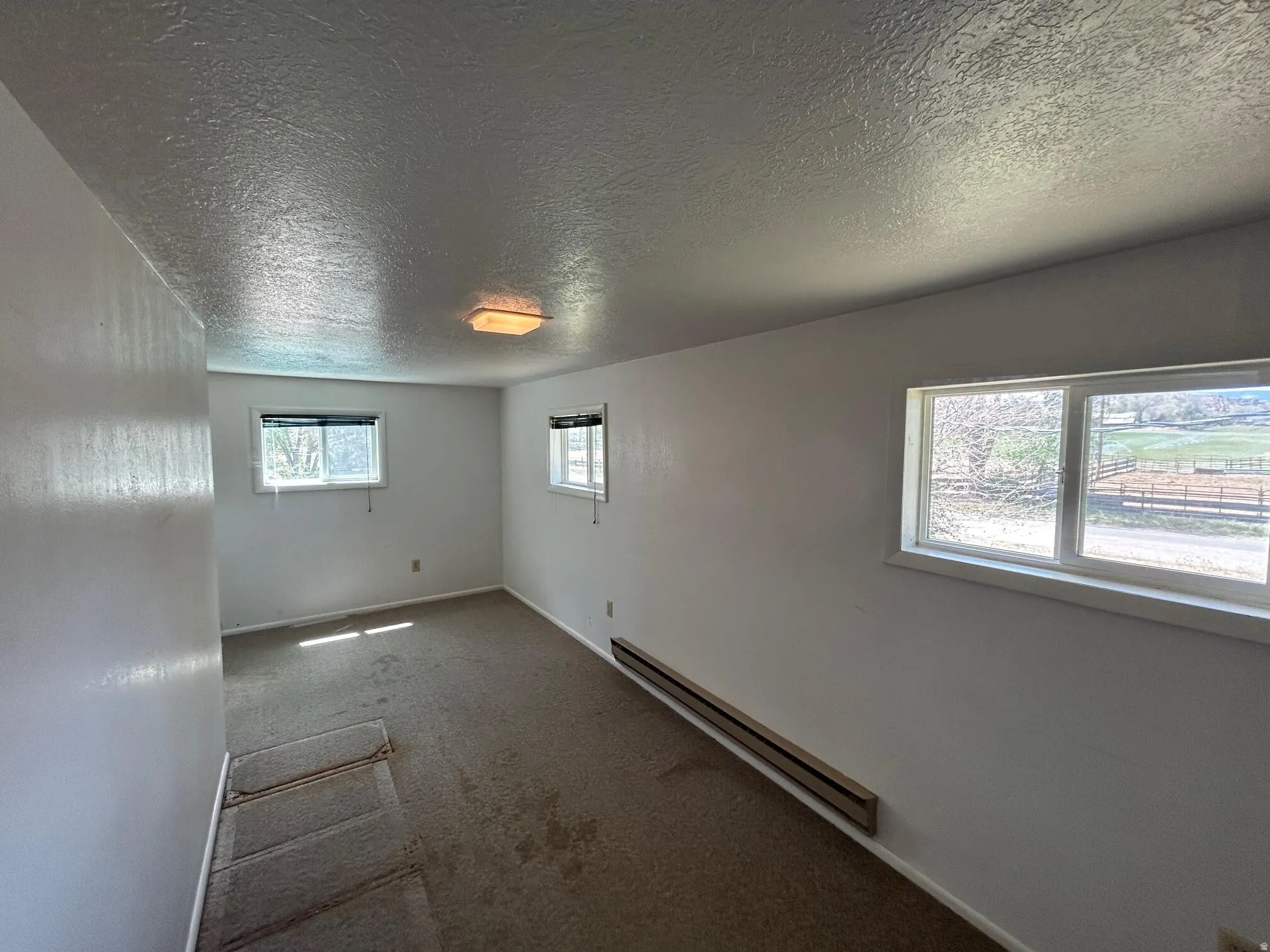 Carpeted interior space with multiple windows