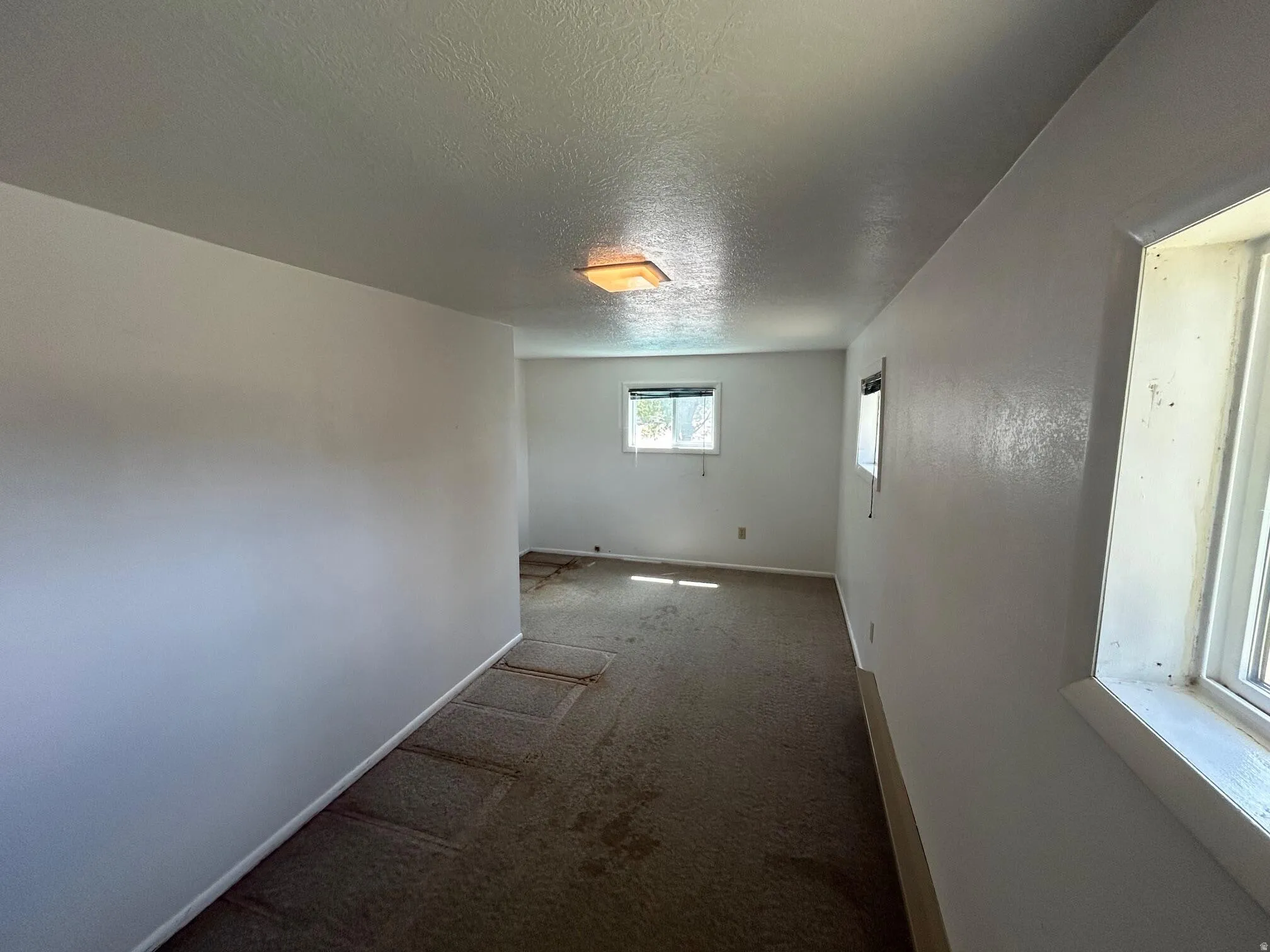 Carpeted room featuring multiple windows, a ceiling-mounted light fixture, and white painted walls