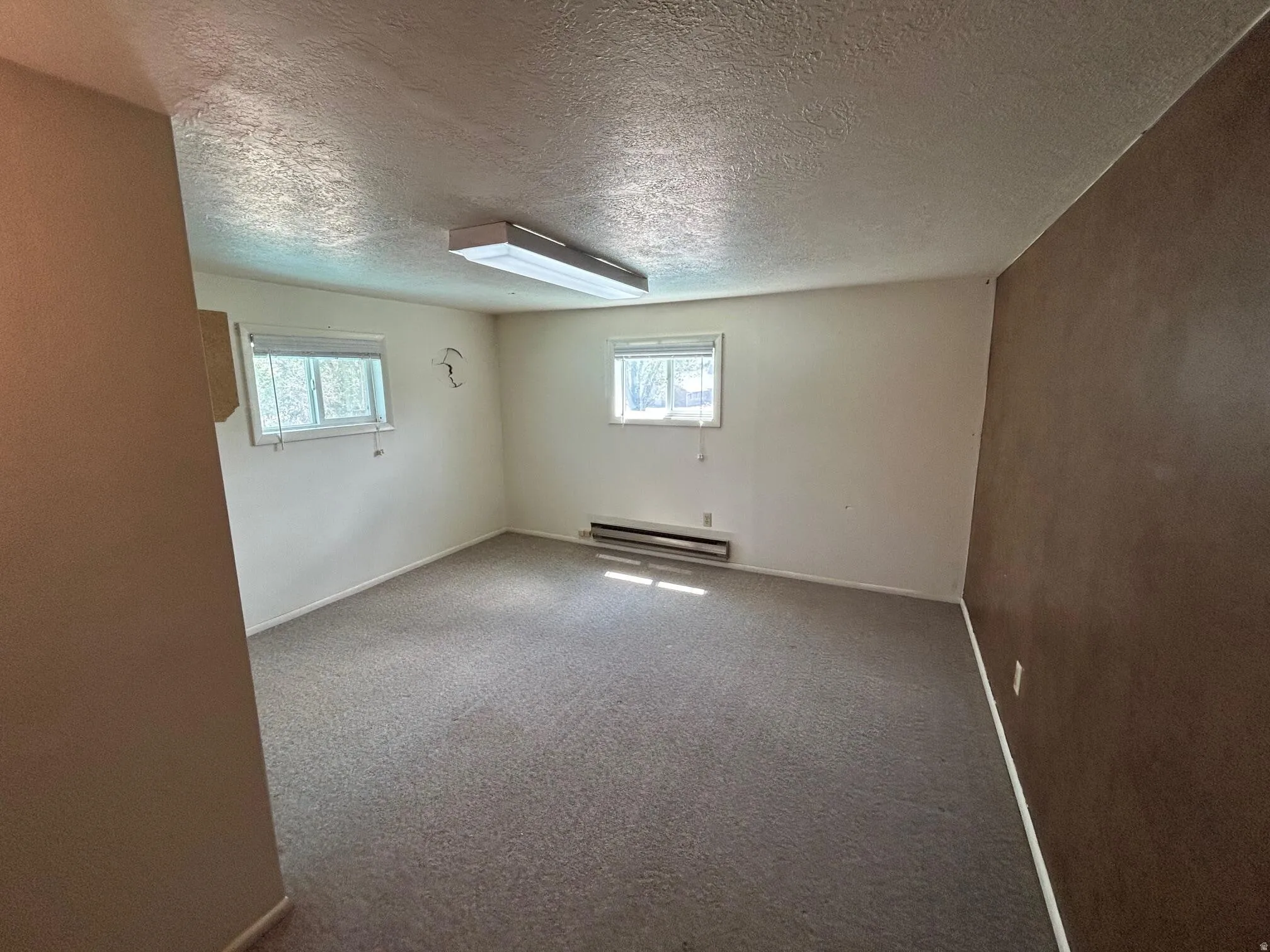 Room featuring textured ceiling, neutral carpeting, and two windows
