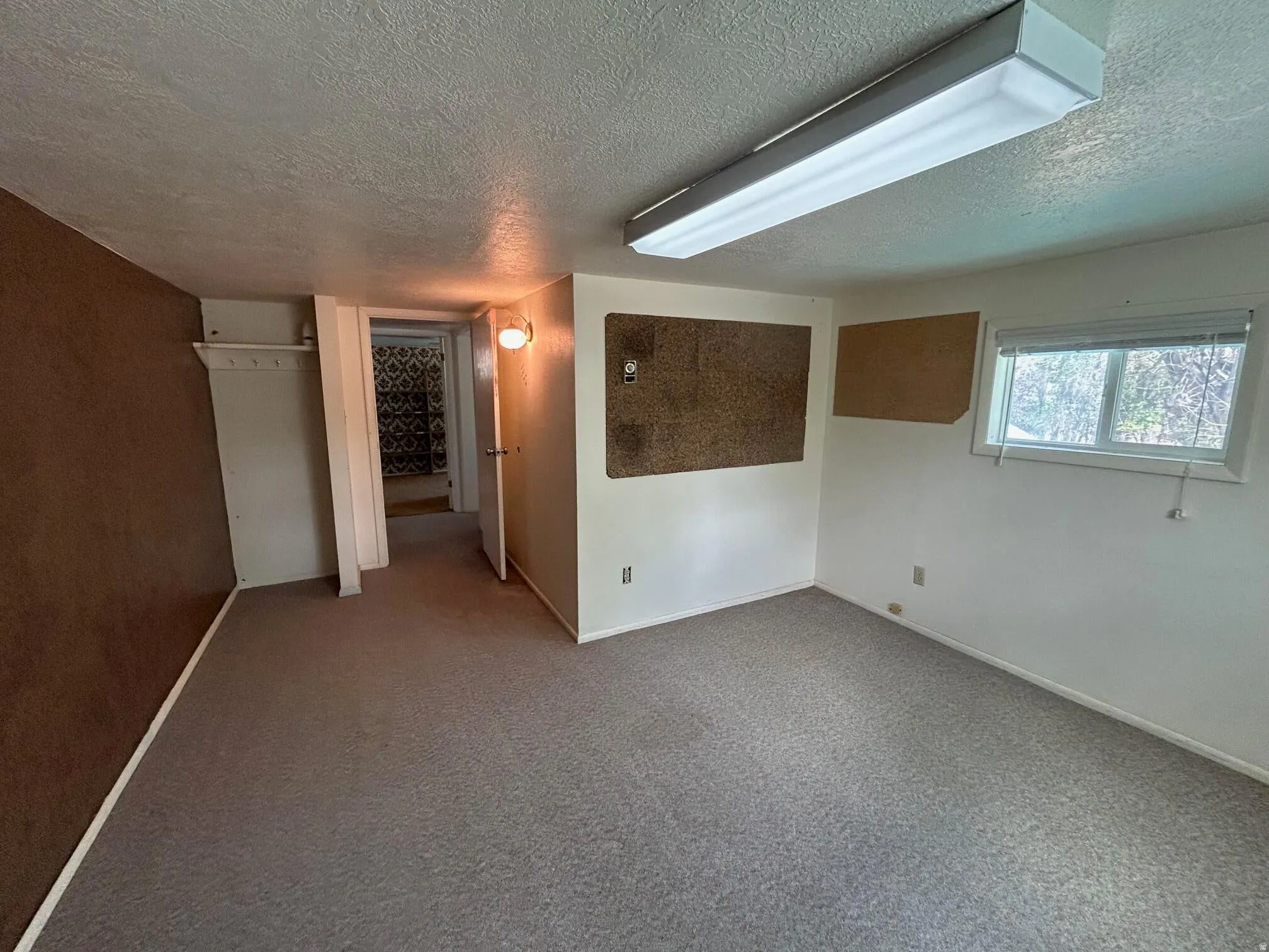 Carpeted room with a textured brown accent wall and white painted walls