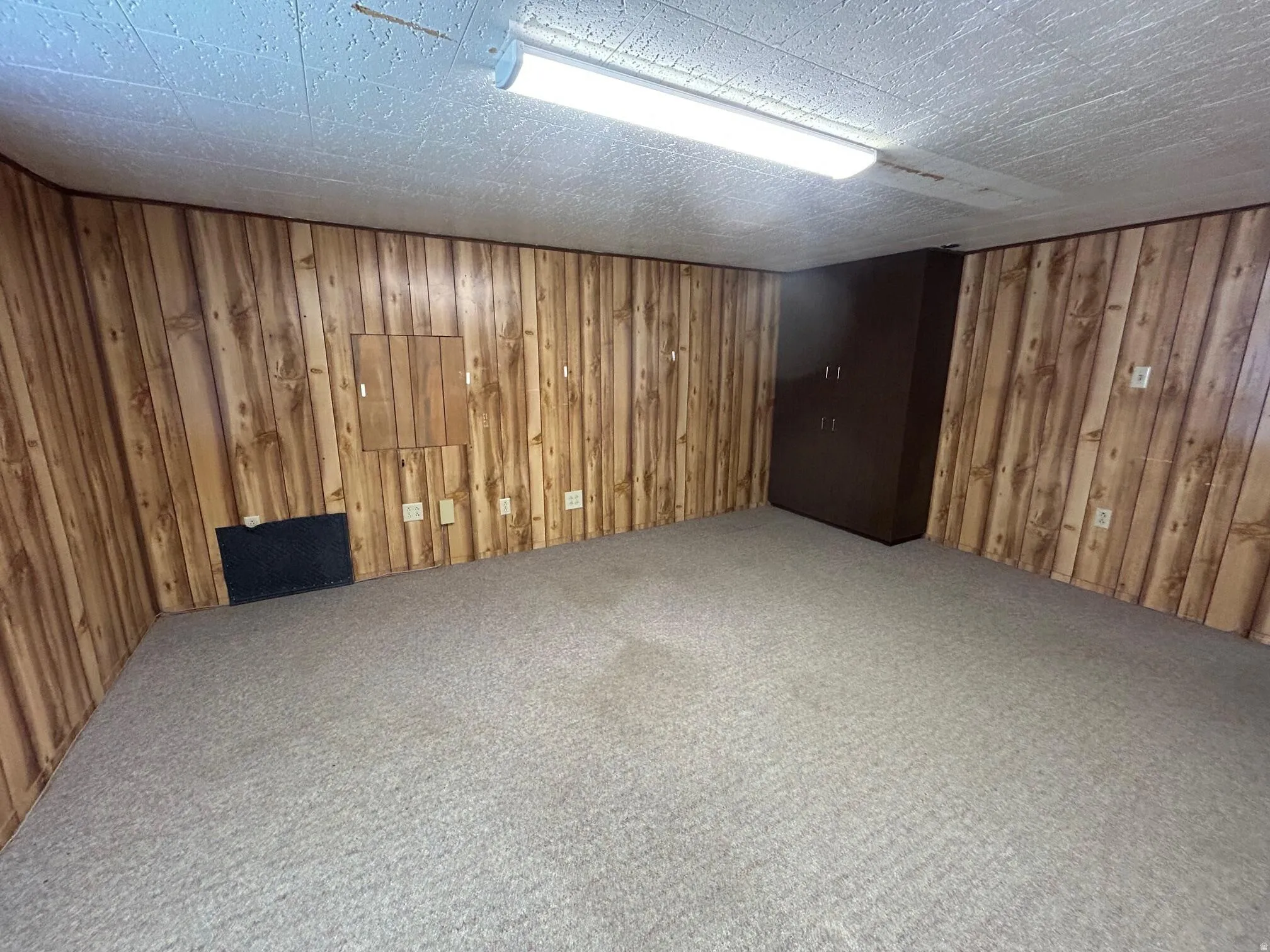 Room featuring wood-finish paneling and light-toned carpet flooring