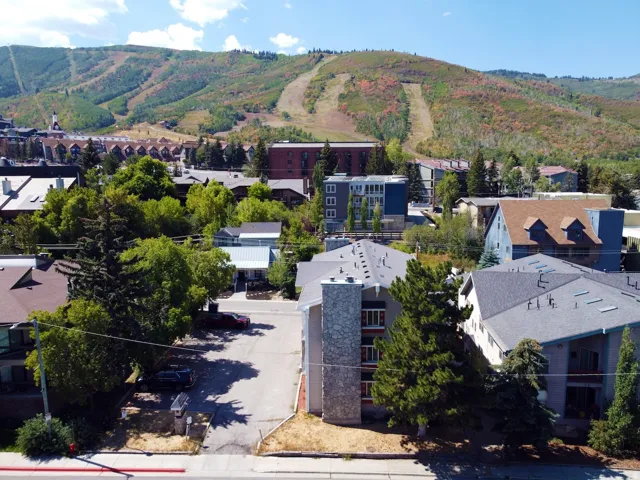 Mountain landscape with varied foliage and ski runs