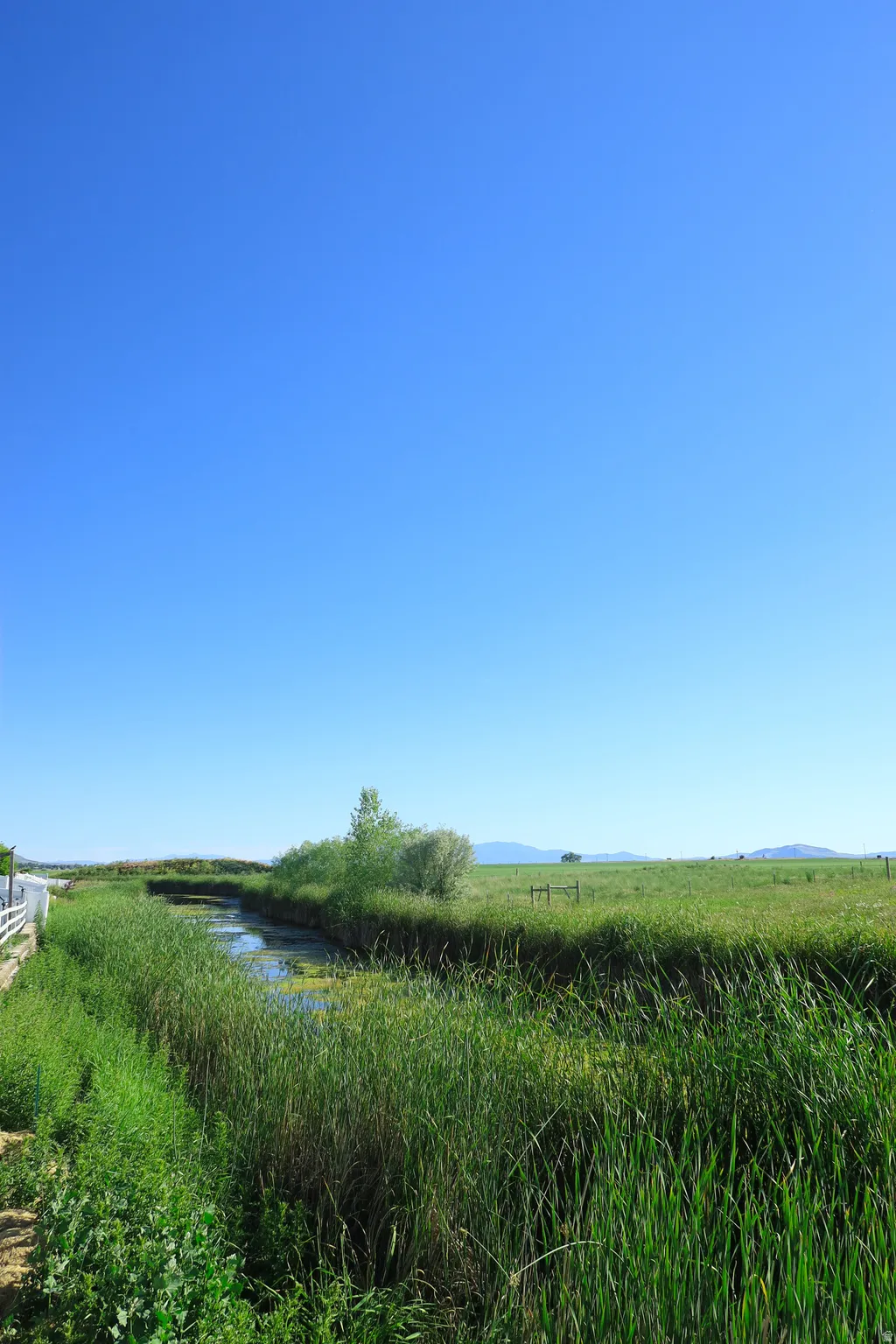 Natural waterway bordered by lush green foliage and open field