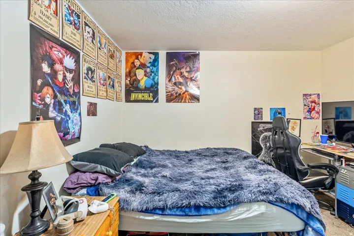 Carpeted room with a ceiling-mounted light fixture