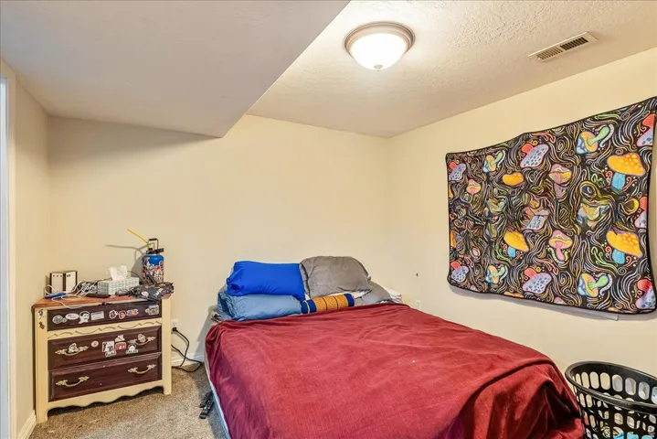 Carpeted room with a ceiling-mounted light fixture, sloped ceiling detail, and painted walls