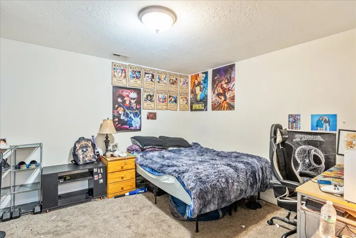 Carpeted room with a ceiling-mounted light fixture