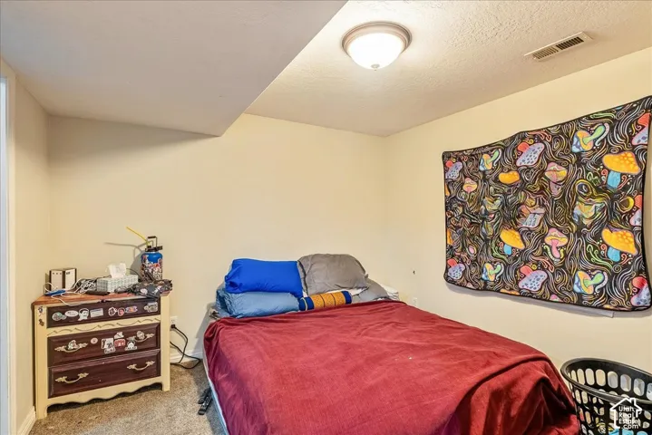 Carpeted room with a ceiling-mounted light fixture, sloped ceiling detail, and painted walls