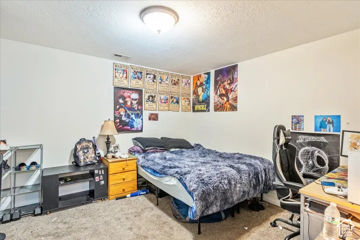 Carpeted room with a ceiling-mounted light fixture