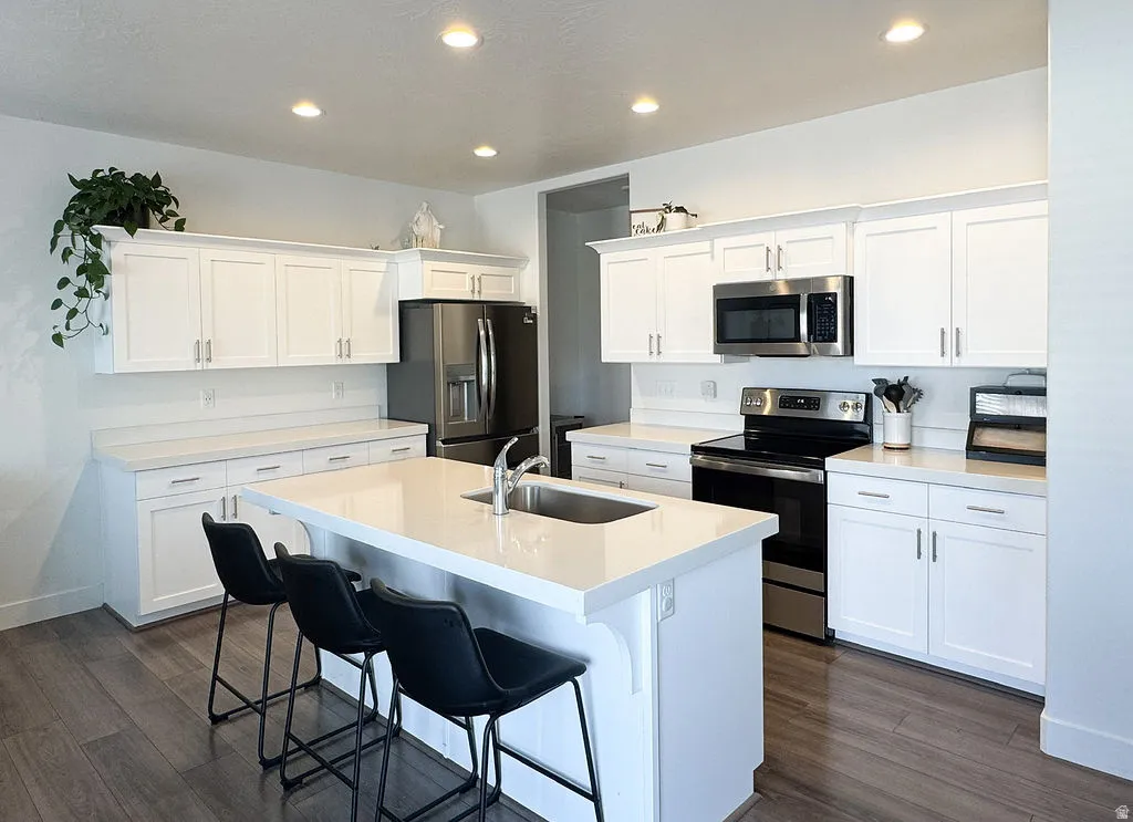 Open-concept kitchen featuring an oversized island with an integrated sink, white shaker cabinetry, stainless steel appliances, and wood-finish flooring