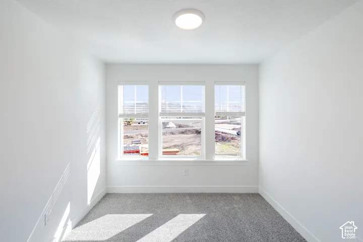 Neutral-toned carpeting, crisp white walls, flush-mount overhead lighting, and a trio of windows with horizontal blinds
