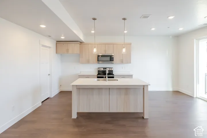 Kitchen island with integrated sink, stainless steel appliances, wood-finish flooring, recessed lighting, and a sliding glass door