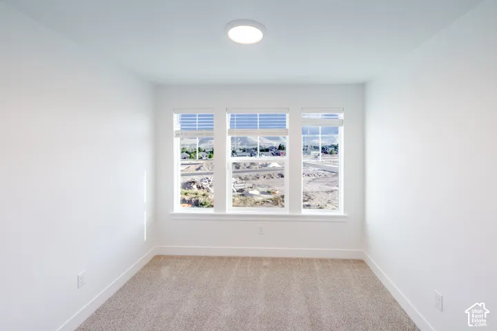 White walls, carpet flooring, and a flush-mount ceiling light