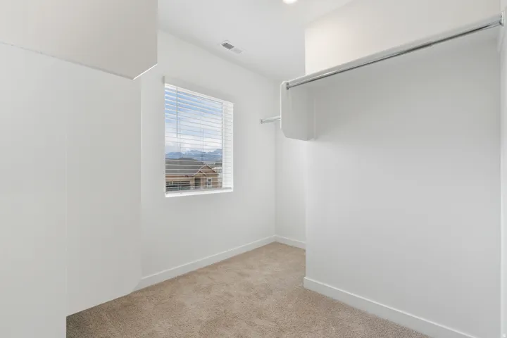 Walk-in closet featuring plush carpet, a window with horizontal blinds, and ample shelving and hanging rods