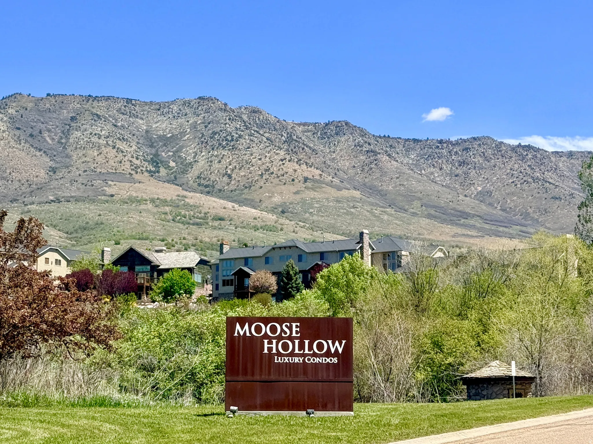 Mountainous backdrop with distant residential structures and a "Moose Hollow Luxury Condos" sign